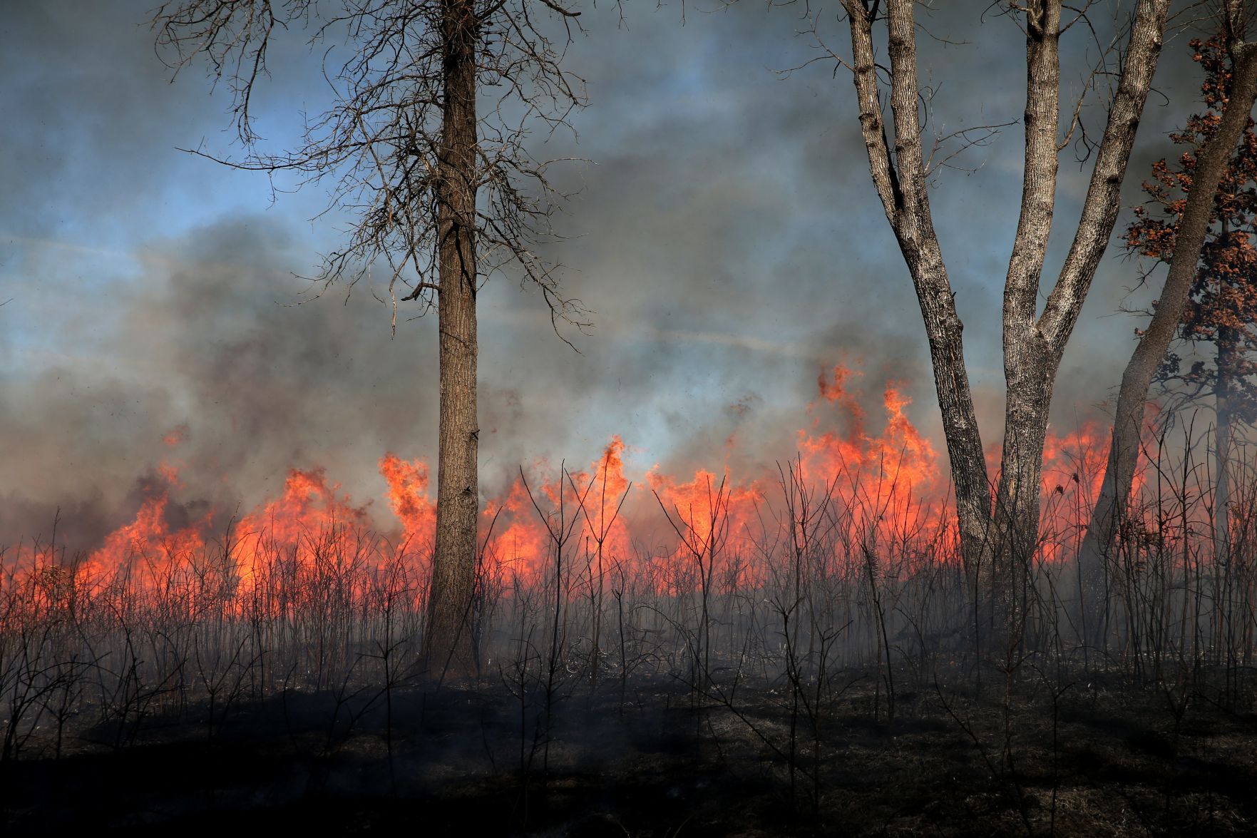 Citizens watch a prescribed burn at Shaw Nature Reserve